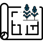 Freiland / Argrarfläche / Wald